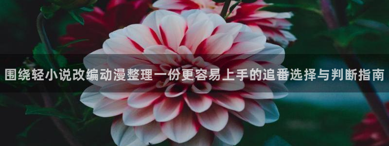 奇漫屋玄幻漫画:围绕轻小说改编动漫整理一份更容易上手的追番选择与判断指南配图