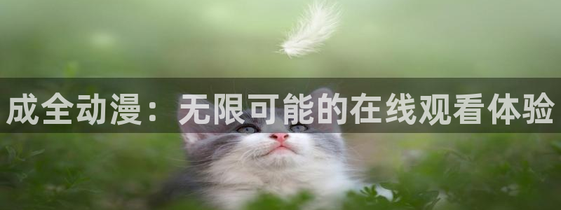 奇漫屋漫画连载排行榜:成全动漫:无限可能的在线观看体验配图